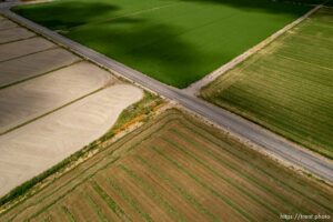 (Trent Nelson | The Salt Lake Tribune) Farmland in Delta on Friday, Aug. 5, 2022.