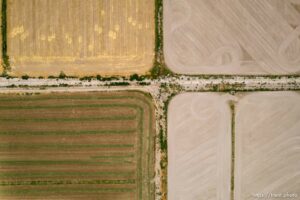 (Trent Nelson | The Salt Lake Tribune) Farmland in Delta on Friday, Aug. 5, 2022.