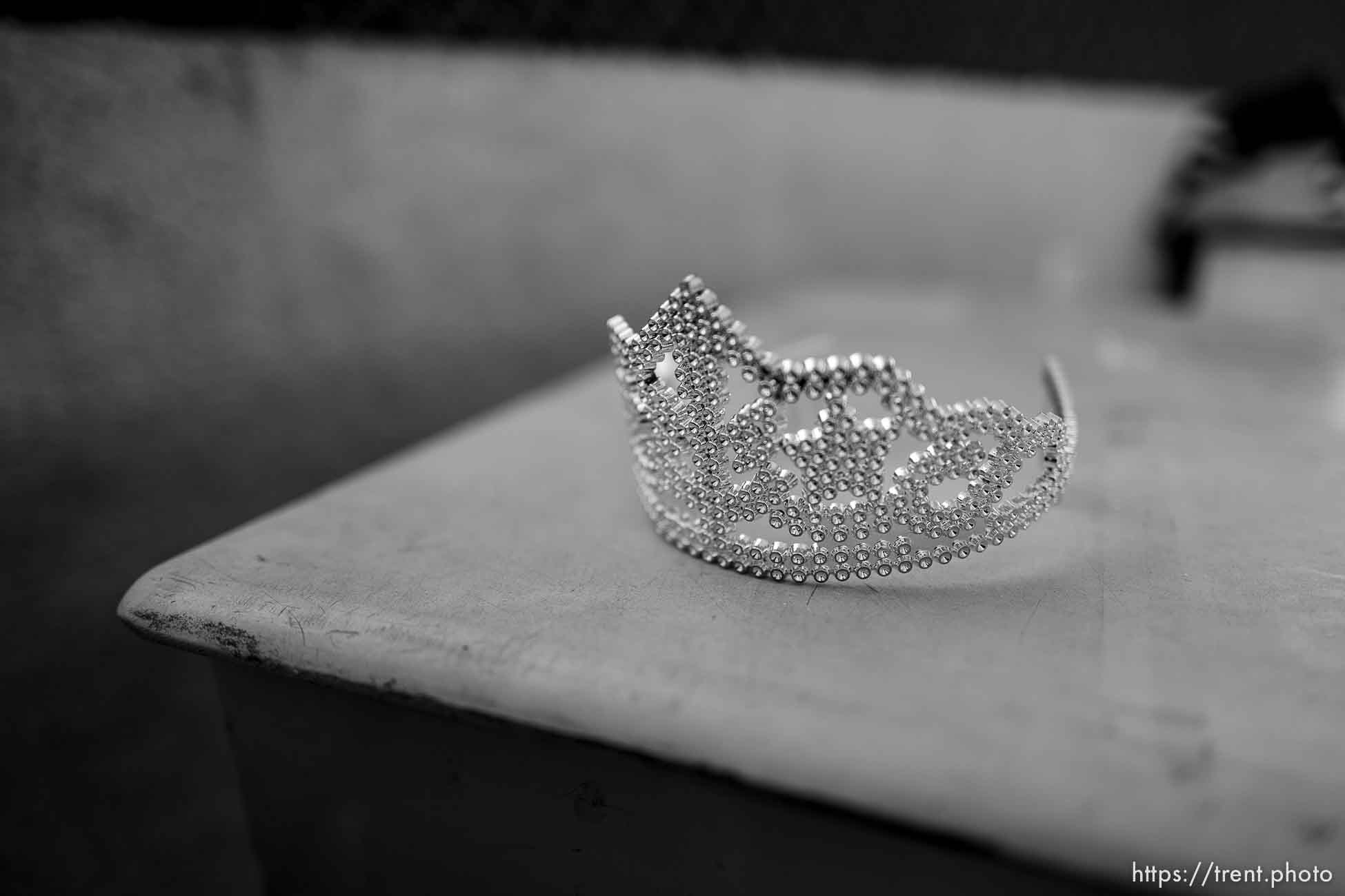 Polygamy in the American West