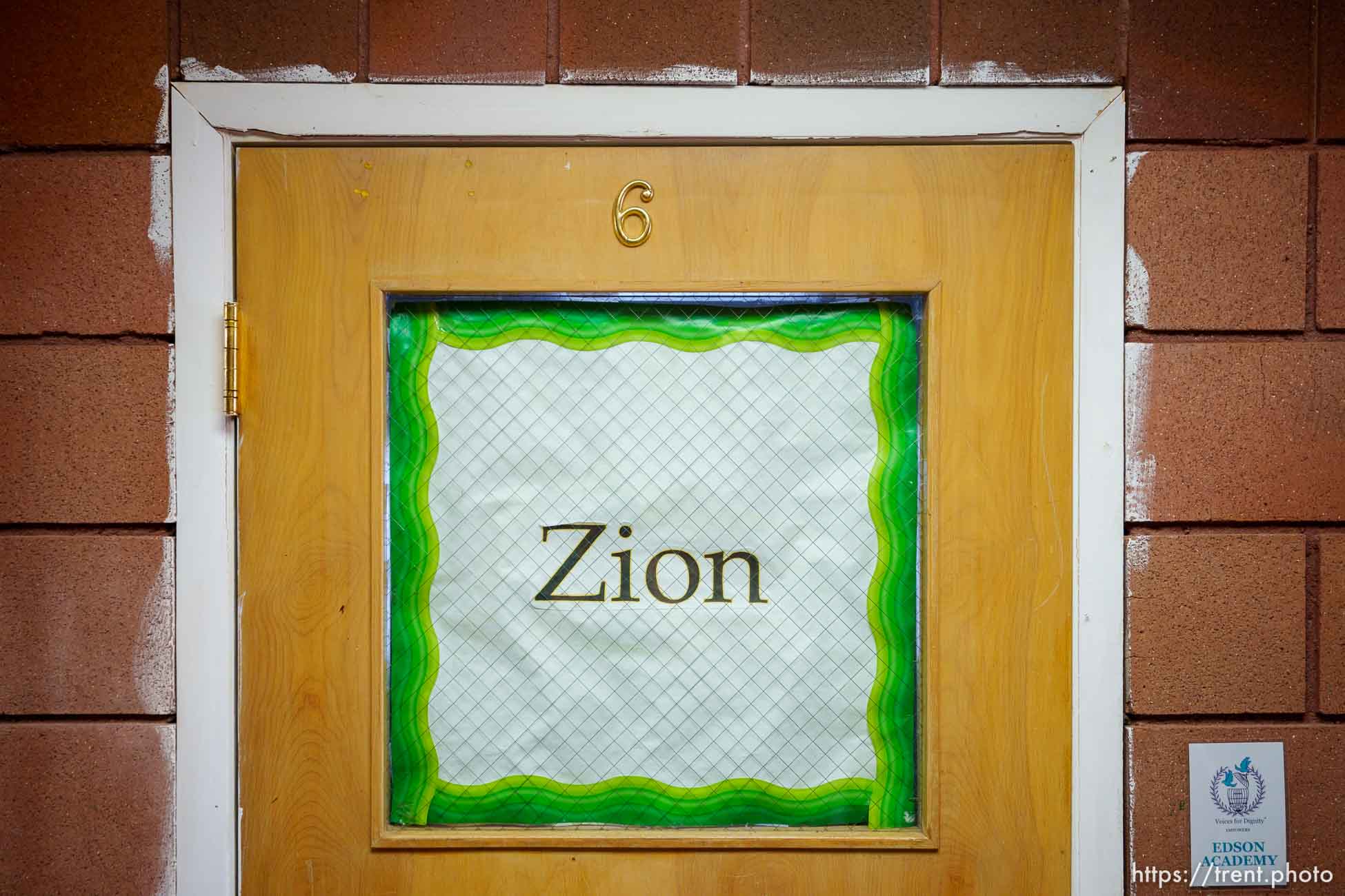 Polygamy in the American West