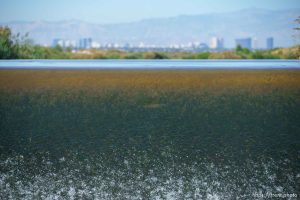 (Trent Nelson  |  The Salt Lake Tribune) Las Vegas Wash, a 12-mile-long channel that feeds treated water to Lake Mead, on Thursday, Sept. 29, 2022.