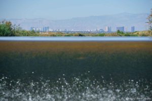 (Trent Nelson  |  The Salt Lake Tribune) Las Vegas Wash, a 12-mile-long channel that feeds treated water to Lake Mead, on Thursday, Sept. 29, 2022.