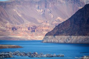 (Trent Nelson  |  The Salt Lake Tribune) The 