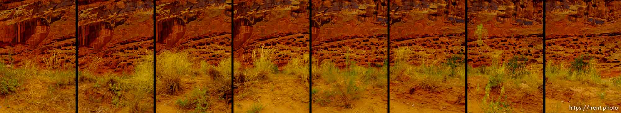 Capitol-Reef-National-Park