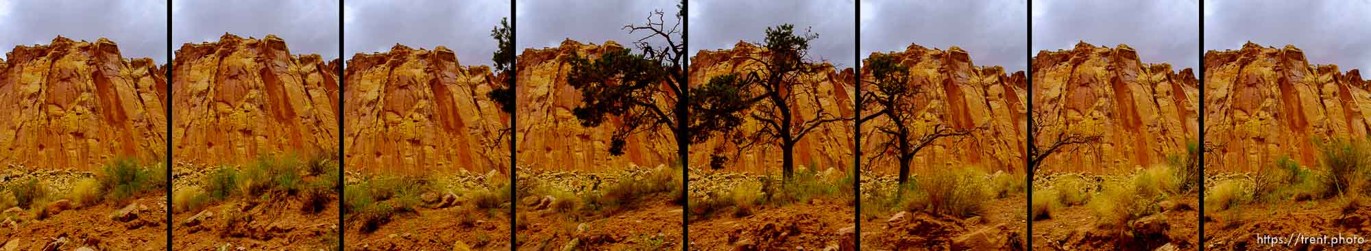Capitol-Reef-National-Park