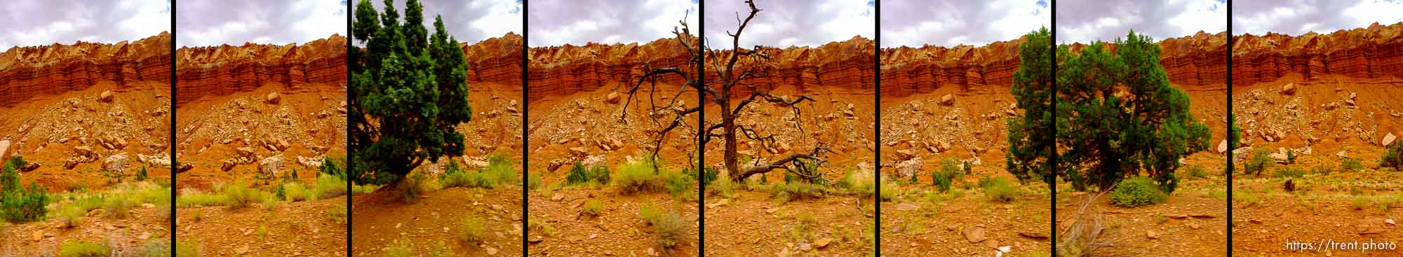 Capitol-Reef-National-Park
