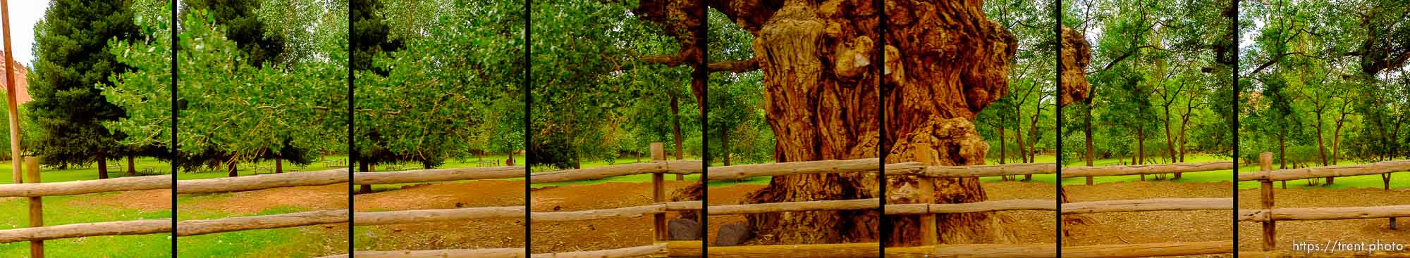 Capitol-Reef-National-Park