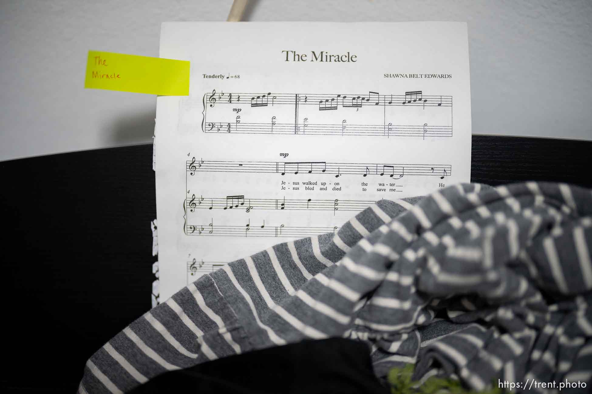 Polygamy in the American West