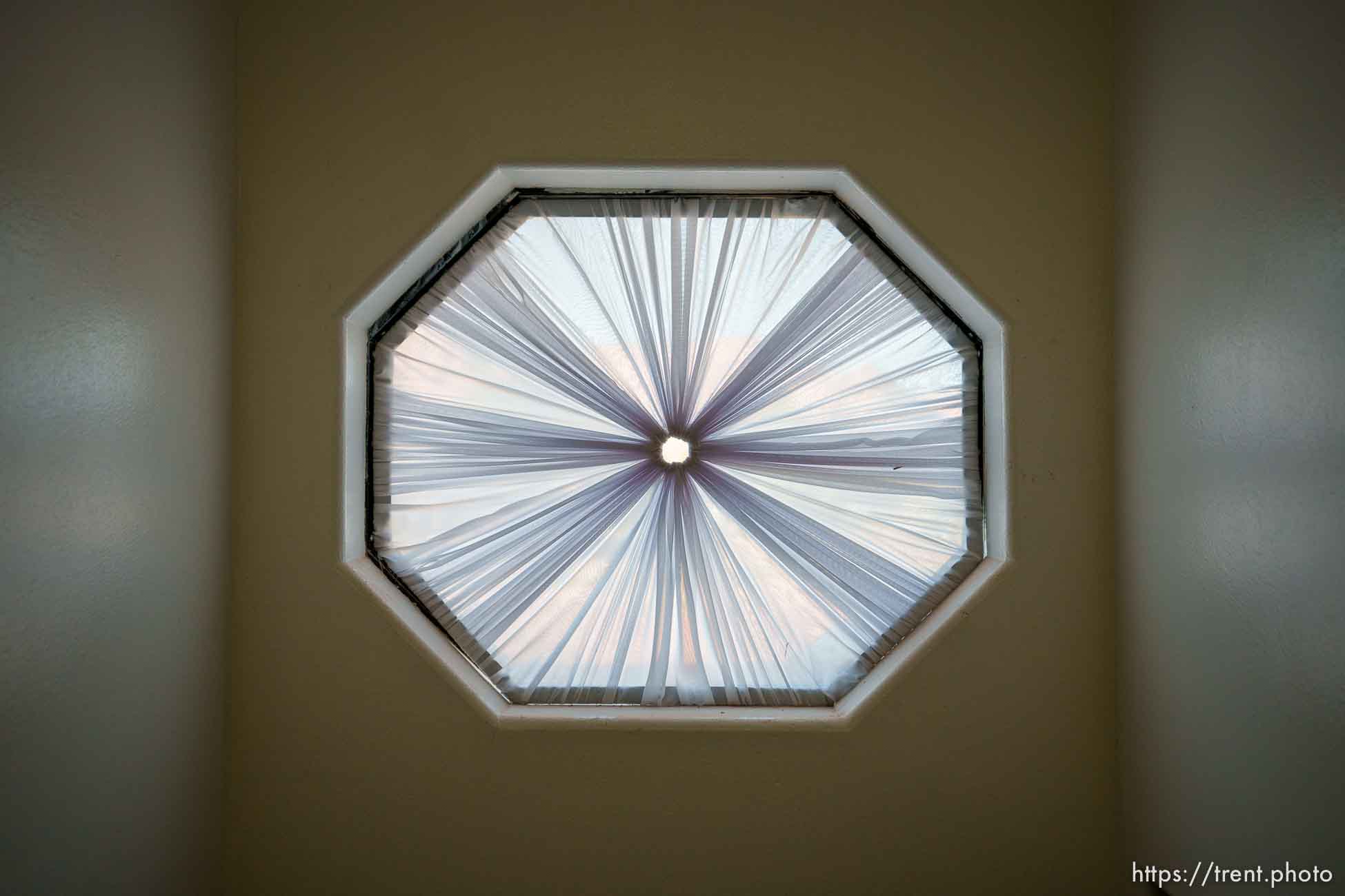 Polygamy in the American West