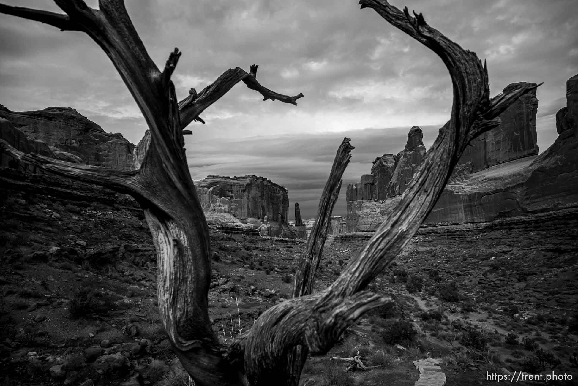 park avenue, arches national park, on Sunday, Jan. 1, 2023.