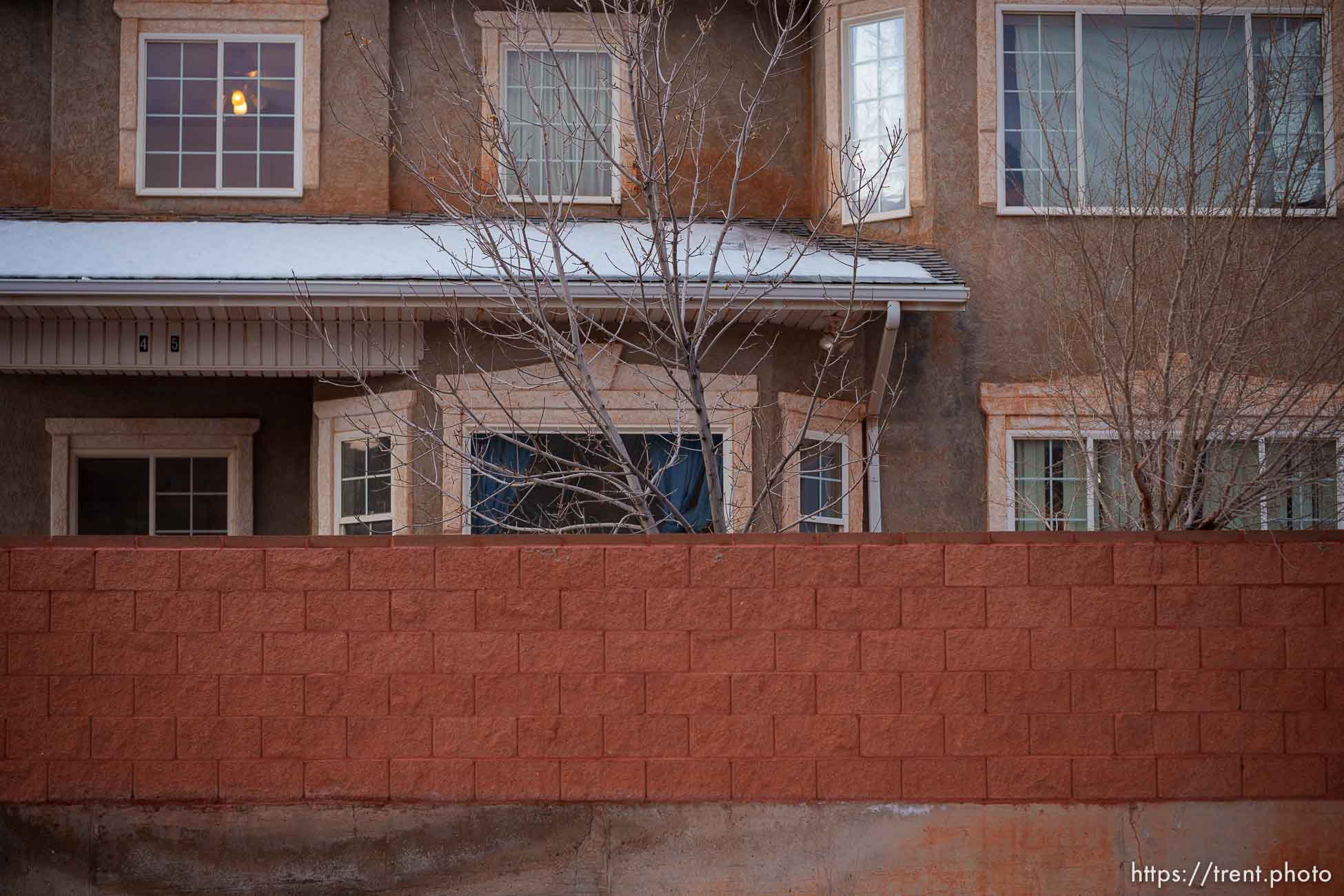 Polygamy in the American West