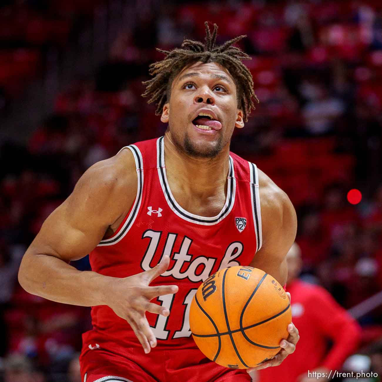 Utah Utes