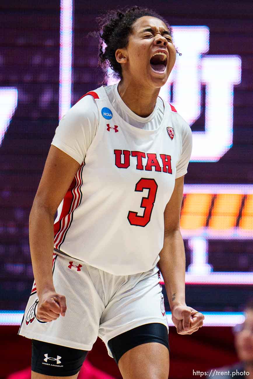 Utah Utes