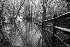 (Trent Nelson  |  The Salt Lake Tribune) High water levels in Emigration Creek flowing through Wasatch Hollow Park in Salt Lake City on Thursday, March 30, 2023.