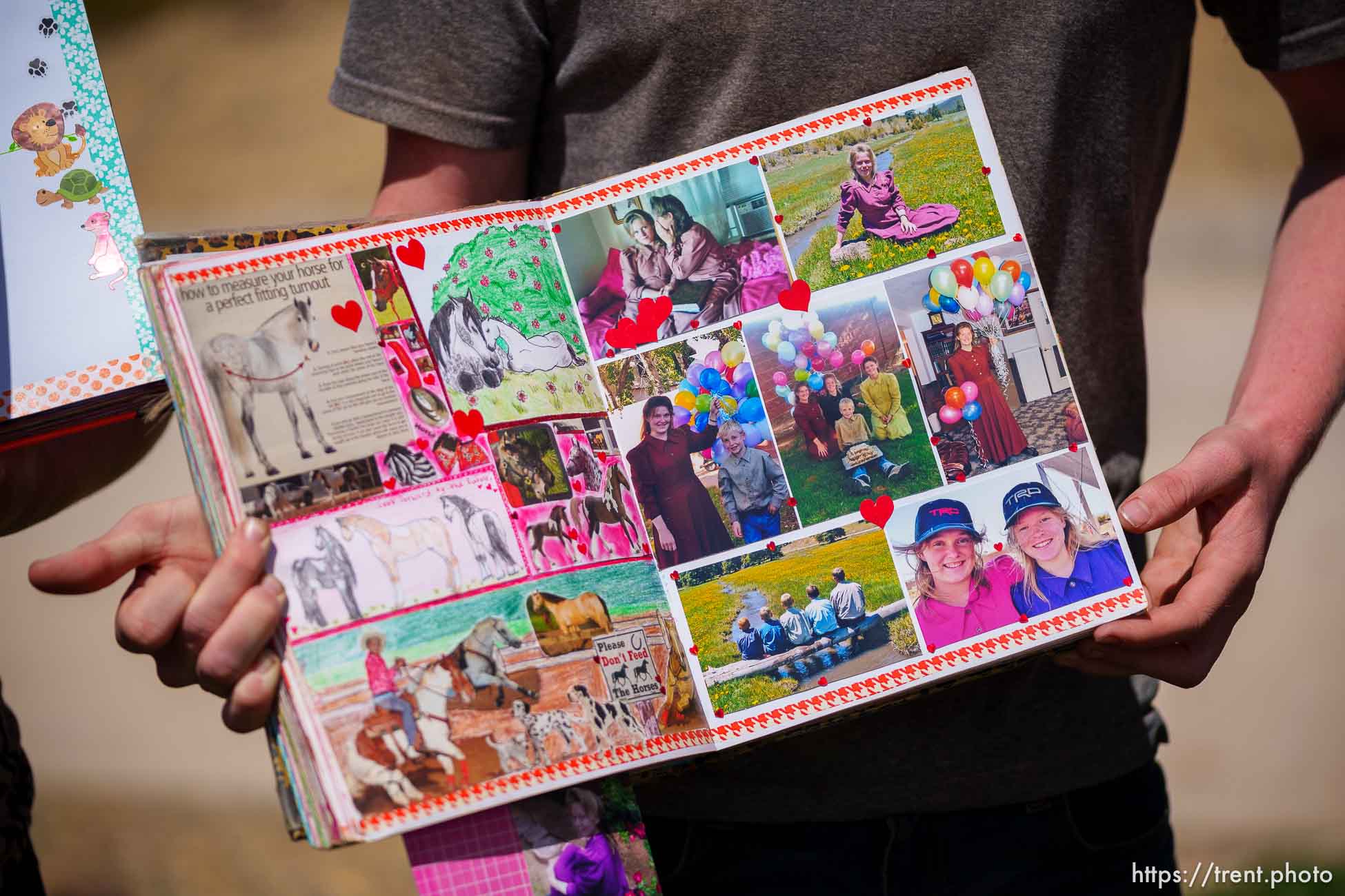 Polygamy in the American West