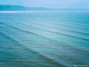 Point Reyes,  on Tuesday, March 28, 2023.