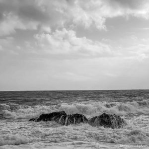 Point Reyes,  on Tuesday, March 28, 2023.