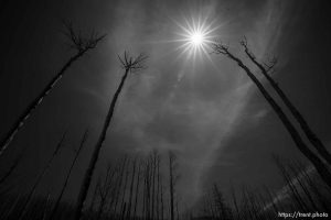 Tukuhnikivatz Spring Trail on Monday, May 29, 2023.