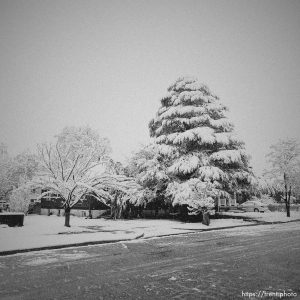 snow on Monday, April 3, 2023.