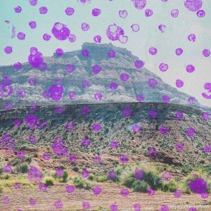 gooseberry mesa on Tuesday, May 2, 2023.