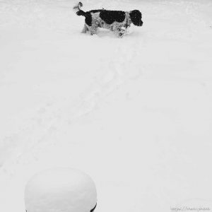 ruby, snow on Tuesday, April 4, 2023.