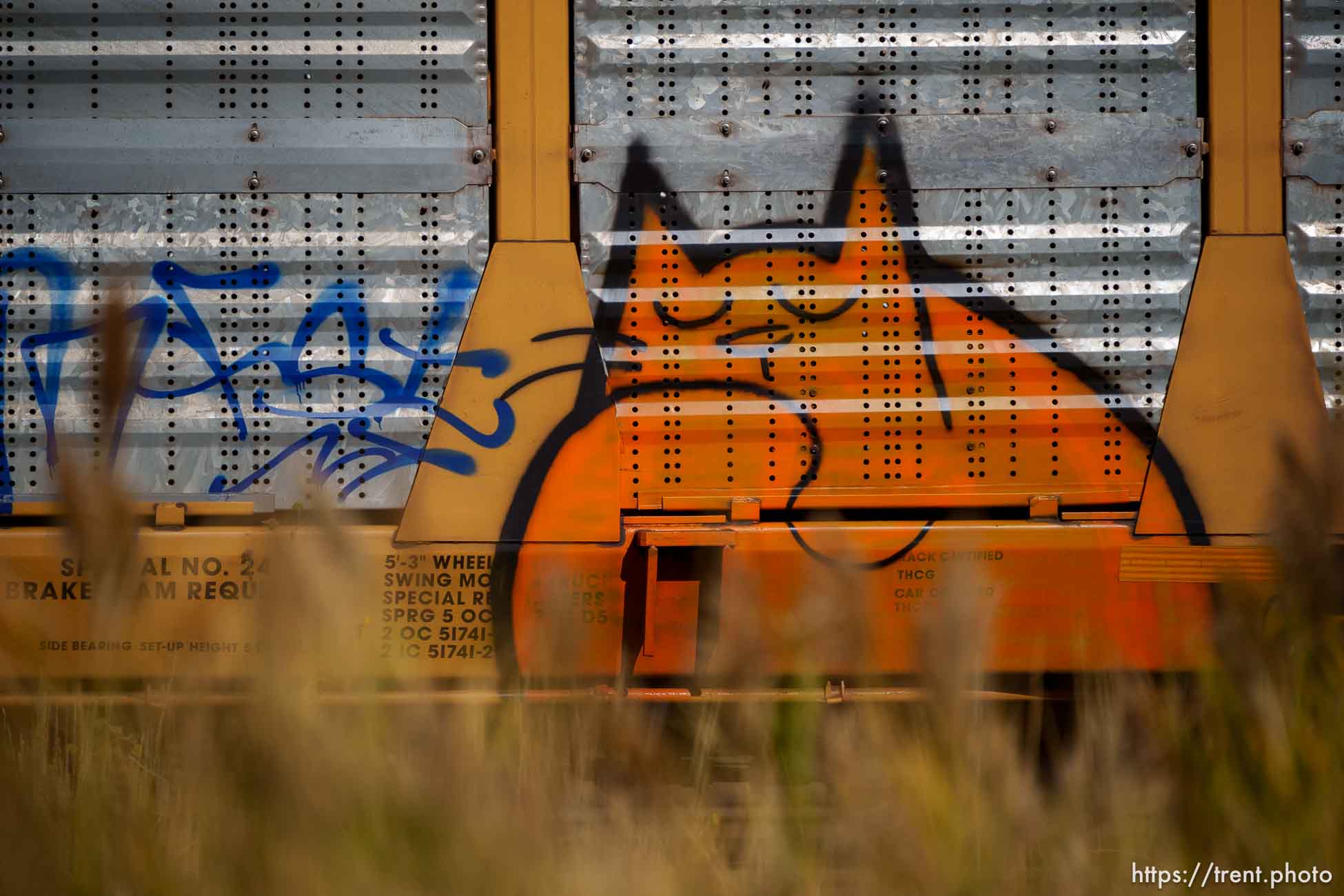 Graffiti