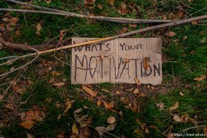 what's your motivation cardboard sign, Monday November 6, 2023.