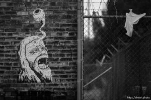 street art, Monday November 6, 2023.