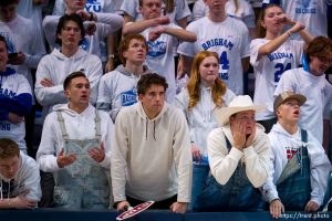 (Trent Nelson  |  The Salt Lake Tribune) BYU fans as BYU hosts Cincinnati, NCAA basketball in Provo on Saturday, Jan. 6, 2024.