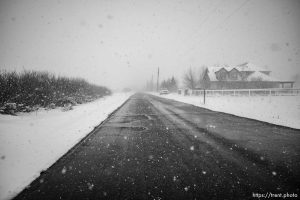 (Trent Nelson  |  The Salt Lake Tribune) Snow falls in Oakley on Monday, March 4, 2024.