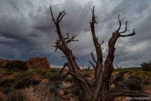 Arches National Park on Saturday, Sept. 21, 2024.