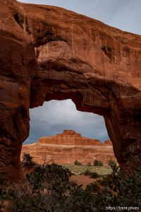 pine tree arch, Arches National Park on Saturday, Sept. 21, 2024.