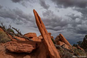 devil's garden, Arches National Park on Saturday, Sept. 21, 2024.