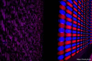(Trent Nelson  |  The Salt Lake Tribune) Greens growing under LED light in the Grow Tech Gardens building at Thanksgiving Point's Curiosity Farms on Thursday, Sept. 26, 2024.
