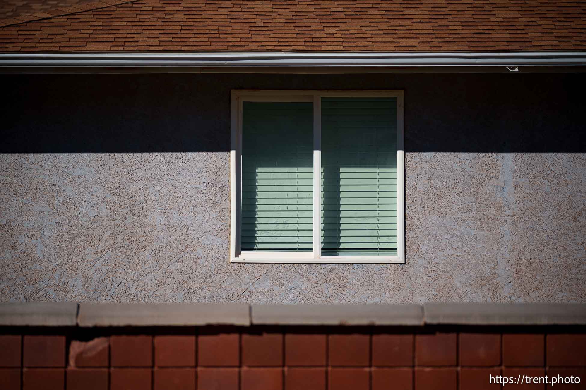 Polygamy in the American West