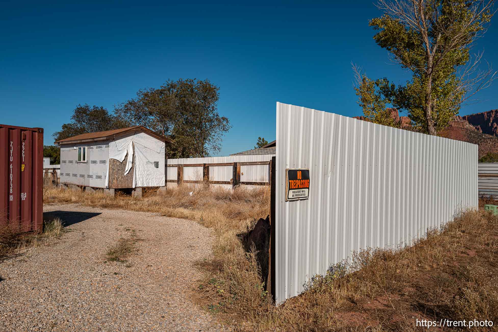 Polygamy in the American West