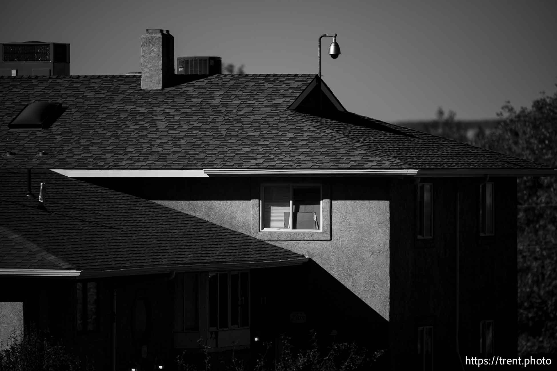 Polygamy in the American West