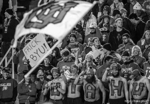 (Trent Nelson  |  The Salt Lake Tribune) 
Utah fans as Utah hosts BYU, NCAA football in Salt Lake City on Saturday, Nov. 9, 2024.