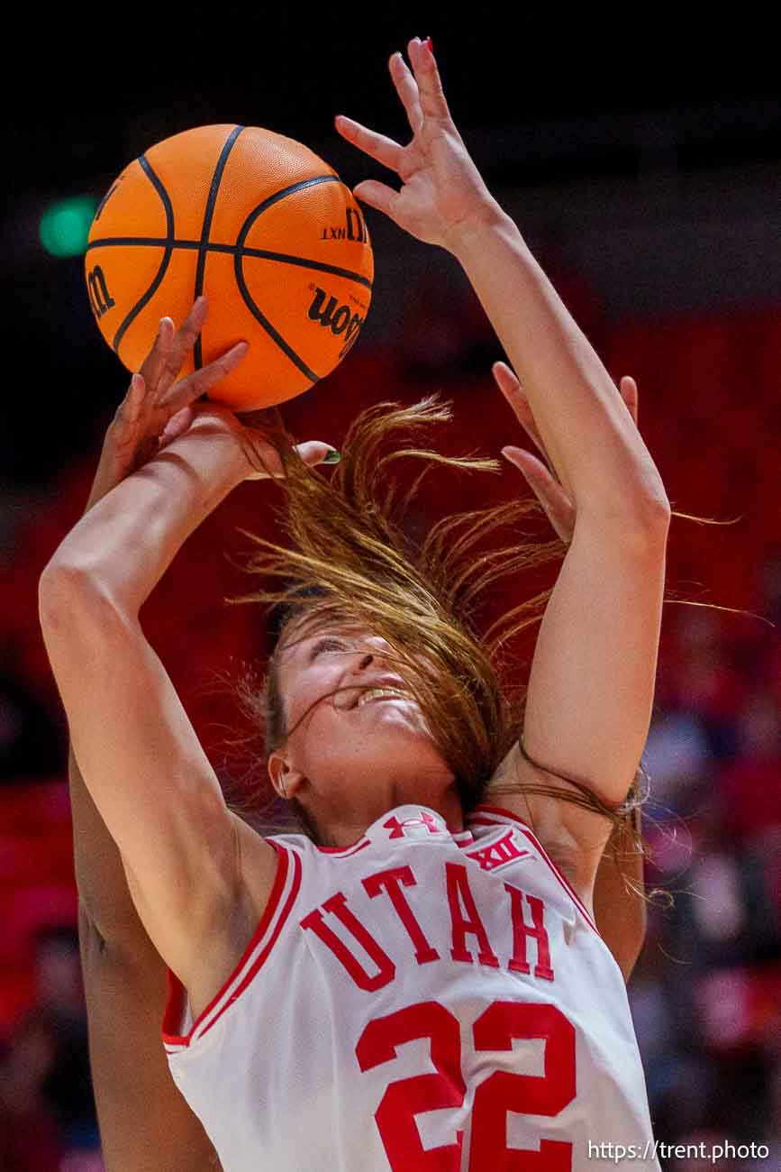 Utah Utes