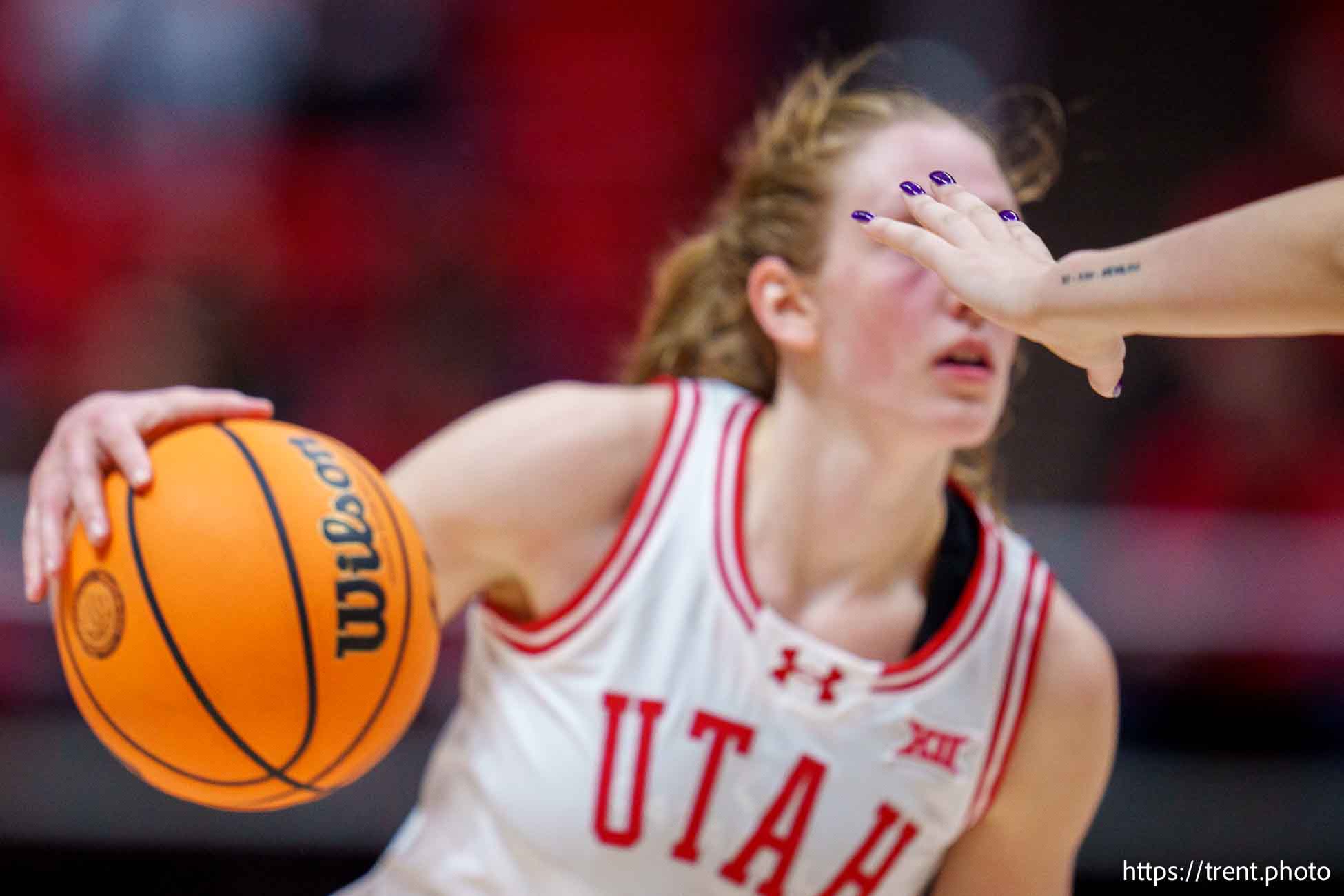 Utah Utes