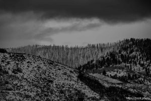 Mountains, on Wednesday, Jan. 1, 2025.