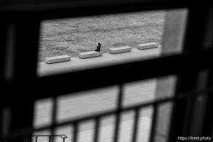 (Trent Nelson  |  The Salt Lake Tribune) The Utah Capitol in Salt Lake City on Tuesday, Feb. 4, 2025.