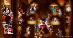 (Trent Nelson  |  The Salt Lake Tribune) Legislators in the House Chamber at the Utah Capitol in Salt Lake City on Friday, Feb. 7, 2025.