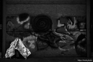 State Street in Salt Lake City on Monday, Feb. 17, 2025.