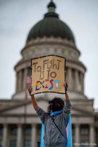 (Trent Nelson  |  The Salt Lake Tribune) Protests at the Utah Capitol in Salt Lake City over the policies of Donald Trump on Monday, Feb. 17, 2025.