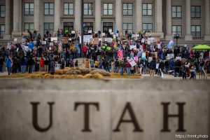 (Trent Nelson  |  The Salt Lake Tribune) Protests at the Utah Capitol in Salt Lake City over the policies of Donald Trump on Monday, Feb. 17, 2025.