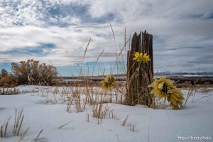 Eureka cemetery, desert drive on Sunday, Feb. 23, 2025.