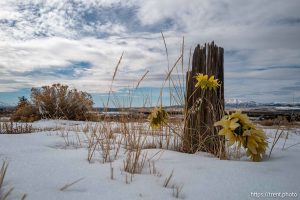 Eureka cemetery, desert drive on Sunday, Feb. 23, 2025.