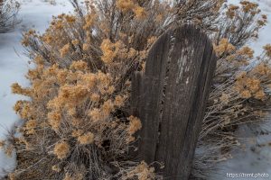 Eureka cemetery, desert drive on Sunday, Feb. 23, 2025.
