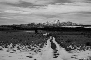 looking toward Eureka Peak, desert drive on Sunday, Feb. 23, 2025.